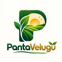 PantaVelugu